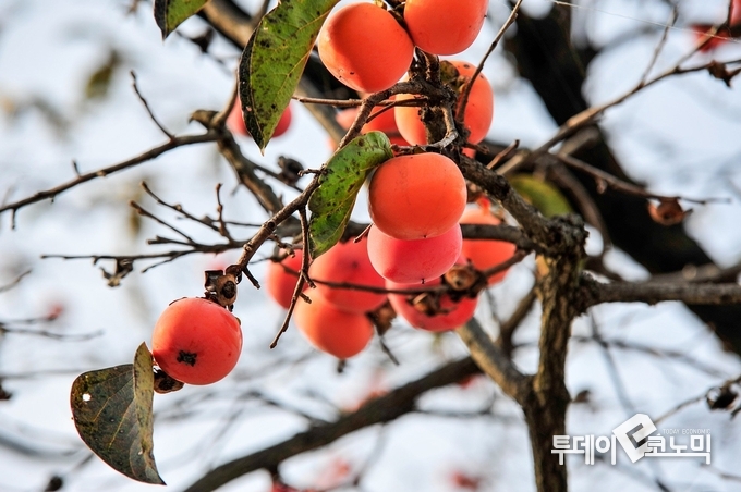 사진=Pixabay