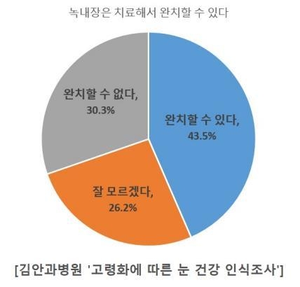 사진=김안과병원