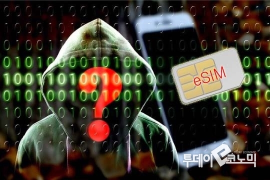 e심에 대한 보안성이 우려되고 있다.(이미지 출처 = 미리 캔버스/ 편집·일러스트=이기영 기자)