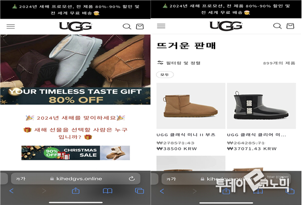 kihedgvs.online의 메인 화면(좌)과 상품 판매 화면(우) (사진=한국소비자원)