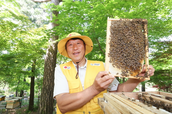 LG가 조성한 토종 꿀벌 서식지에서 김대립 명인이 꿀벌통을 들어 보이고 있다. 사진=LG