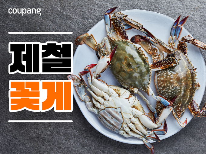 사진=쿠팡
