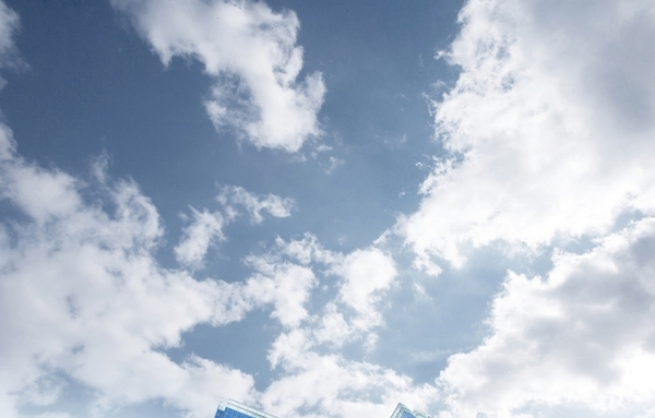 미래에셋증권, 1천억 자사주 매입에 AI 인재 스톡옵션까지…‘주주가치+미래 성장’ 투트랙 가속