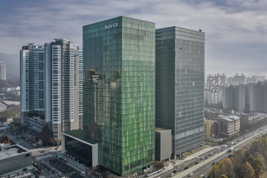 네이버 인물 프로필에 지식인 답변 연동 오류…과거 익명 게시물 일부 노출